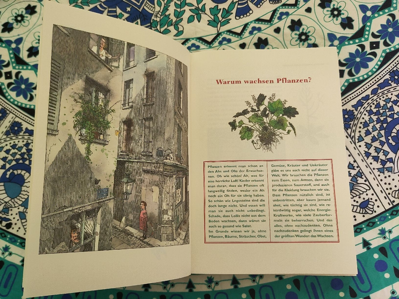 Libri: Kinder-Uni: Entdecke die Welt! – Usato da Dübendorf venduto da Cocochala8 3