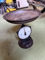 SALTER’S  FAMILY  SCALE  N•50