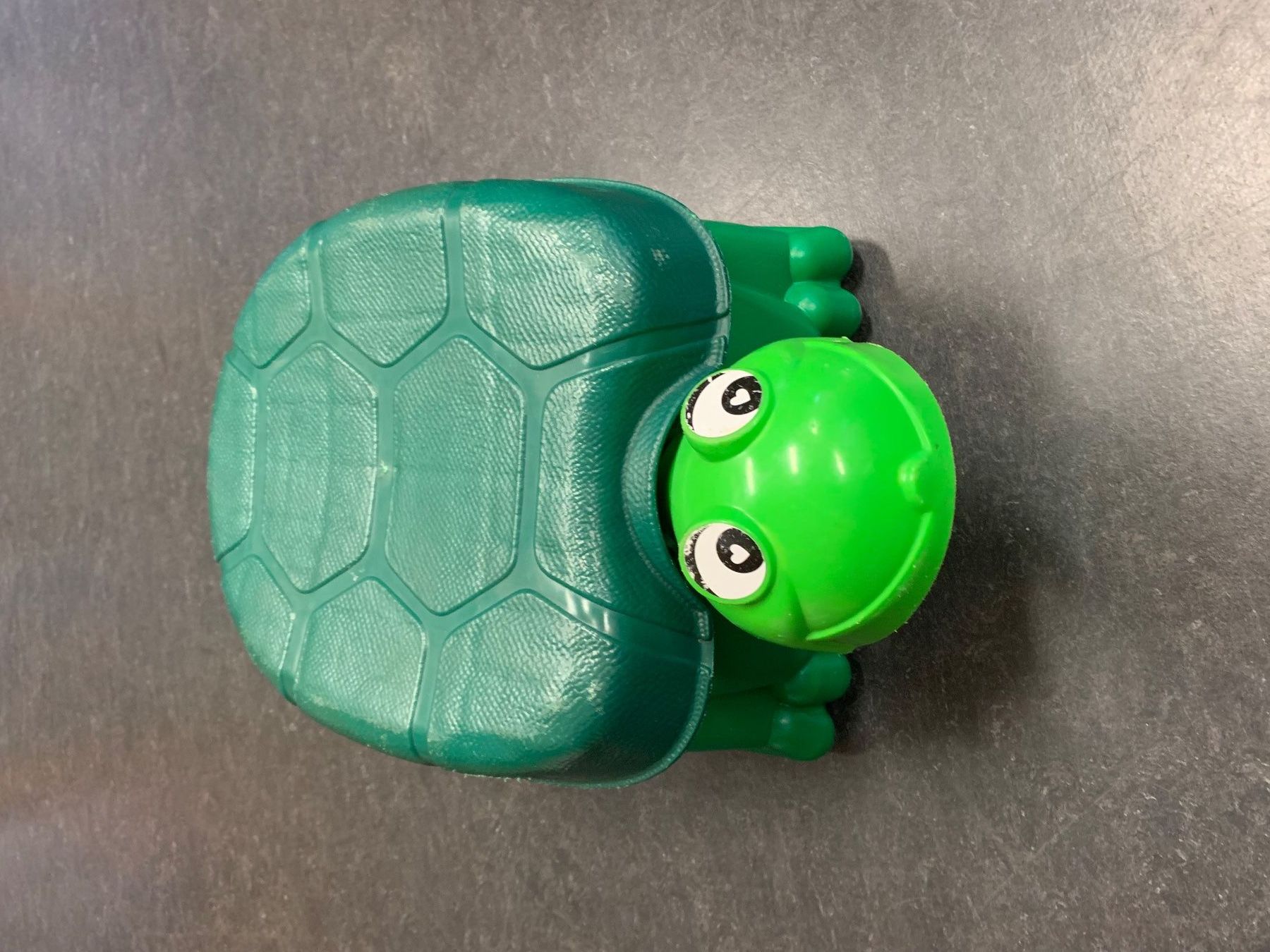 Spielzeuge: Laufschildkröte – Gebraucht aus Hombrechtikon von spookycat