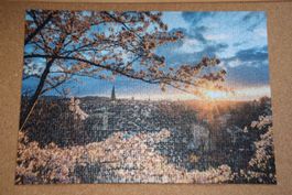 Puzzle Ravensburger 1000 Teile - Kirschblüten in Bern