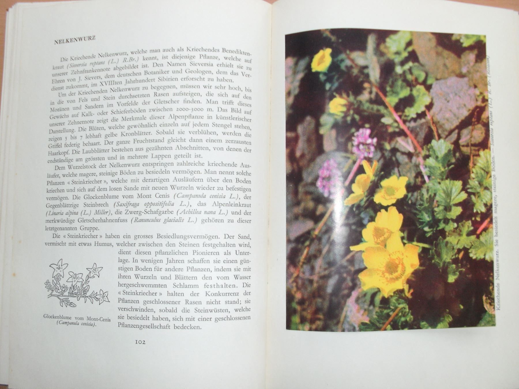 Libri: Unsere Blumen - Aloys Duperrex – Usato da Grenchen venduto da Kogi7 4