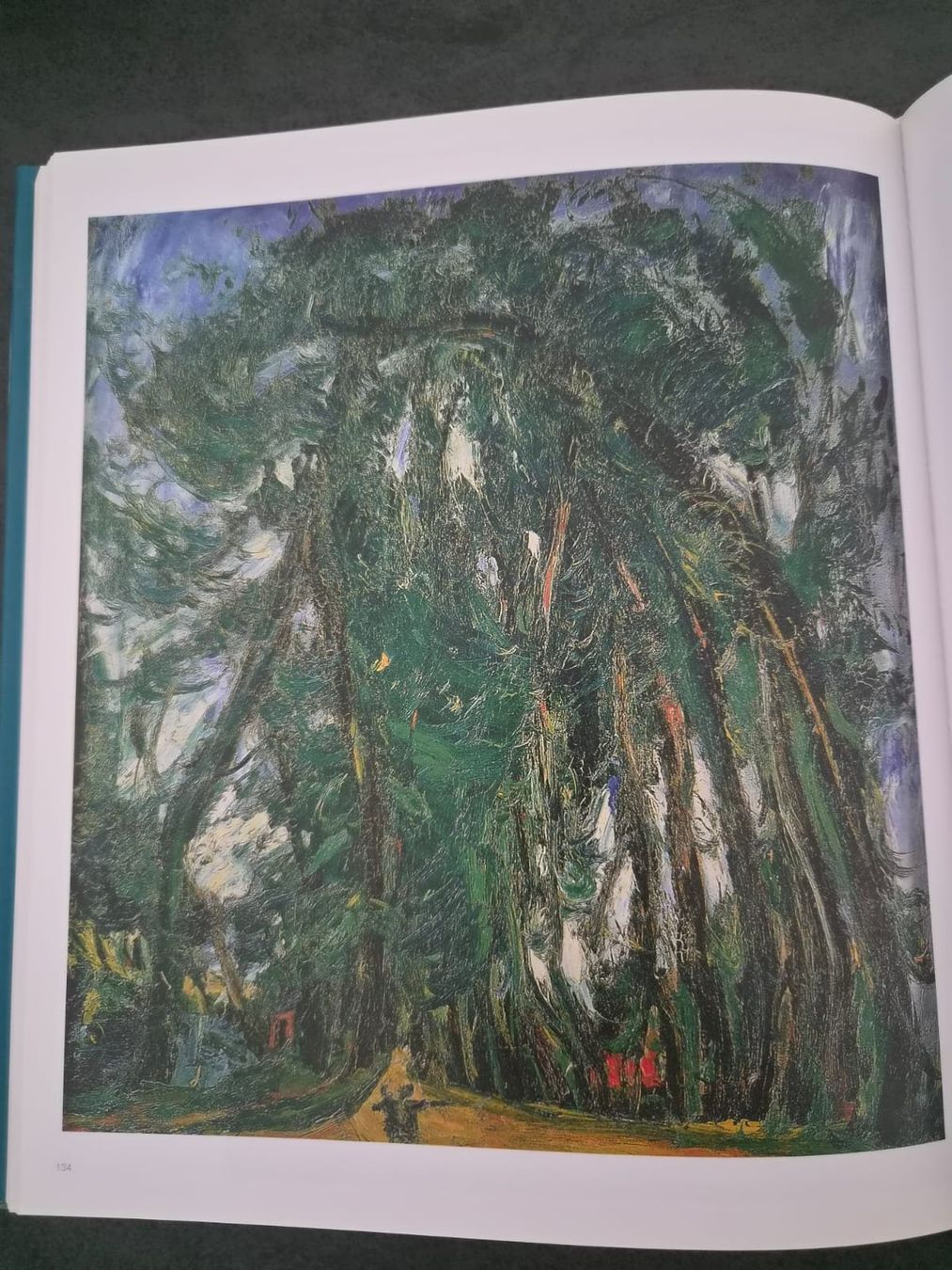Bücher: Livre d'art Soutine – Gebraucht aus Genève von hen_dz9m 4