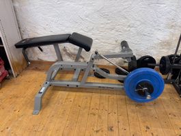 Beincurl Maschine