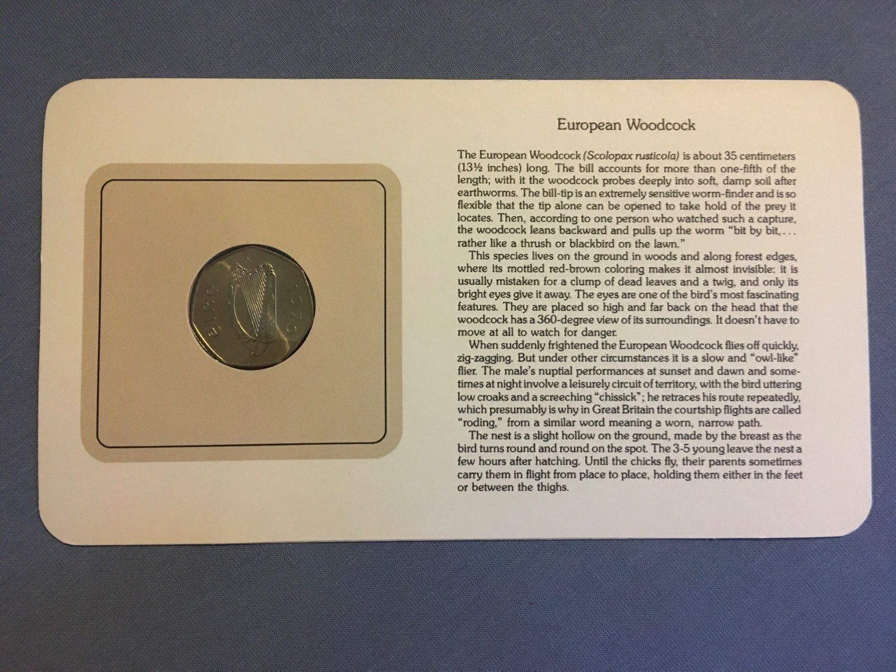 Alle Münzen: 50 Pence Ireland im Blister – Gebraucht aus Lugano von Lucolos 1