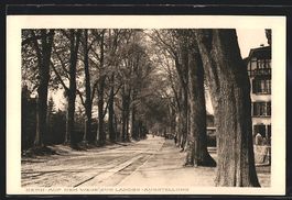 AK Bern, Allee zur Landes-Ausstellung