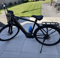 E-Bike Aversus, Neuewertig