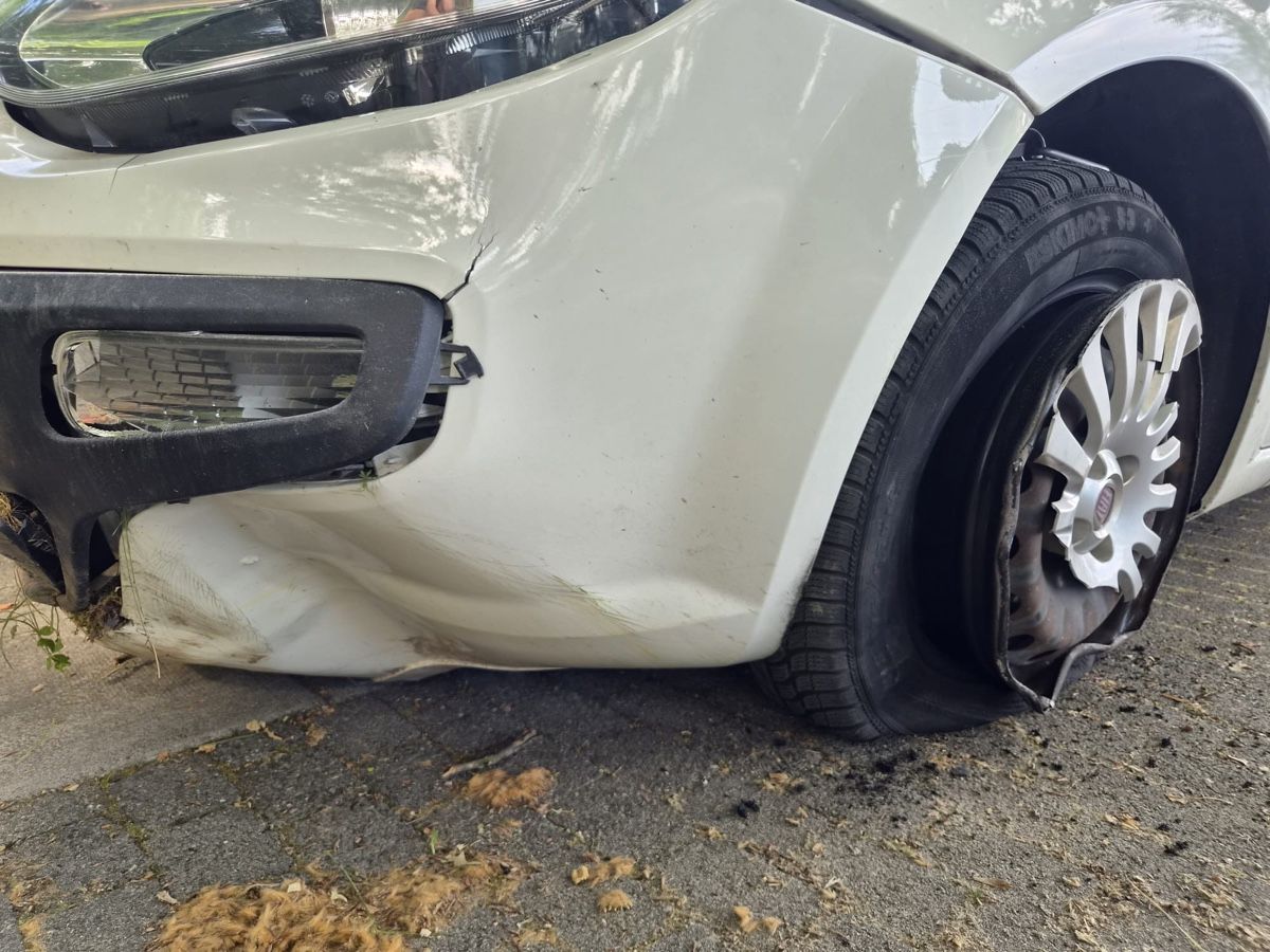 Fiat Autos: Fiat Punto für Teile oder Export – Défectueux à Hombrechtikon par hug_5syk 5
