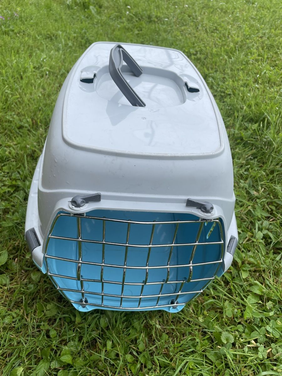 Altro in Decorazioni & Accessori: Katzen 🐈 BOX – Usato da Gutenswil venduto da Bregenzer8610 5