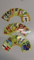 Panini WM 2026 Sticker Pack mehr als 100 Stück