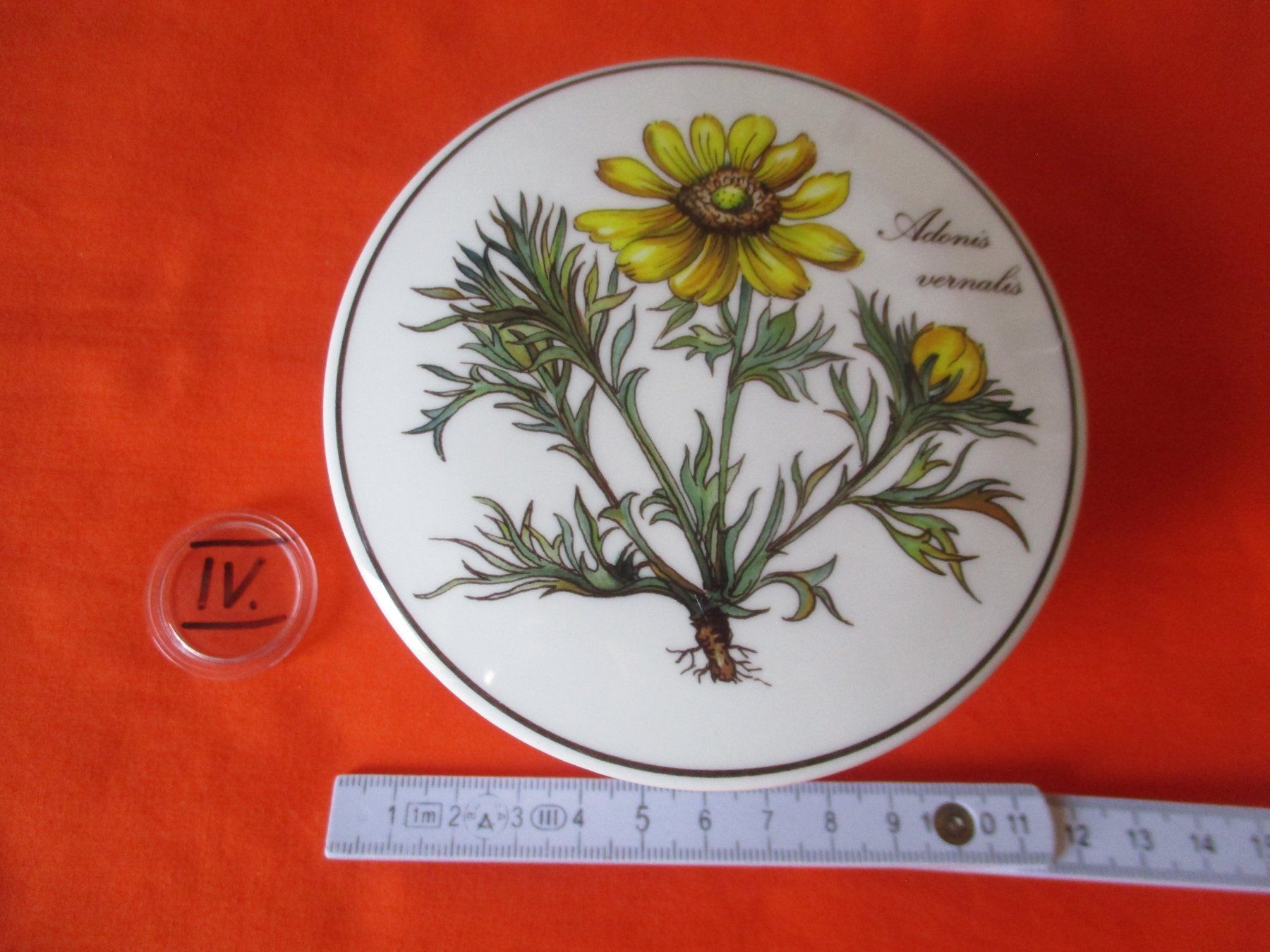 Villeroy & Boch Tutte le decorazioni: Deckeldose Adonis, Villeroy Boch – Nuovo (secondo la descrizione) da Birsfelden venduto da alles-muss-raus