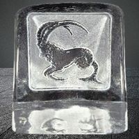 ♑️Vintage-Sternzeichen-Kunst – Steinbock aus Kristall!💠💫