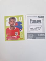 Panini Sticker PAN4