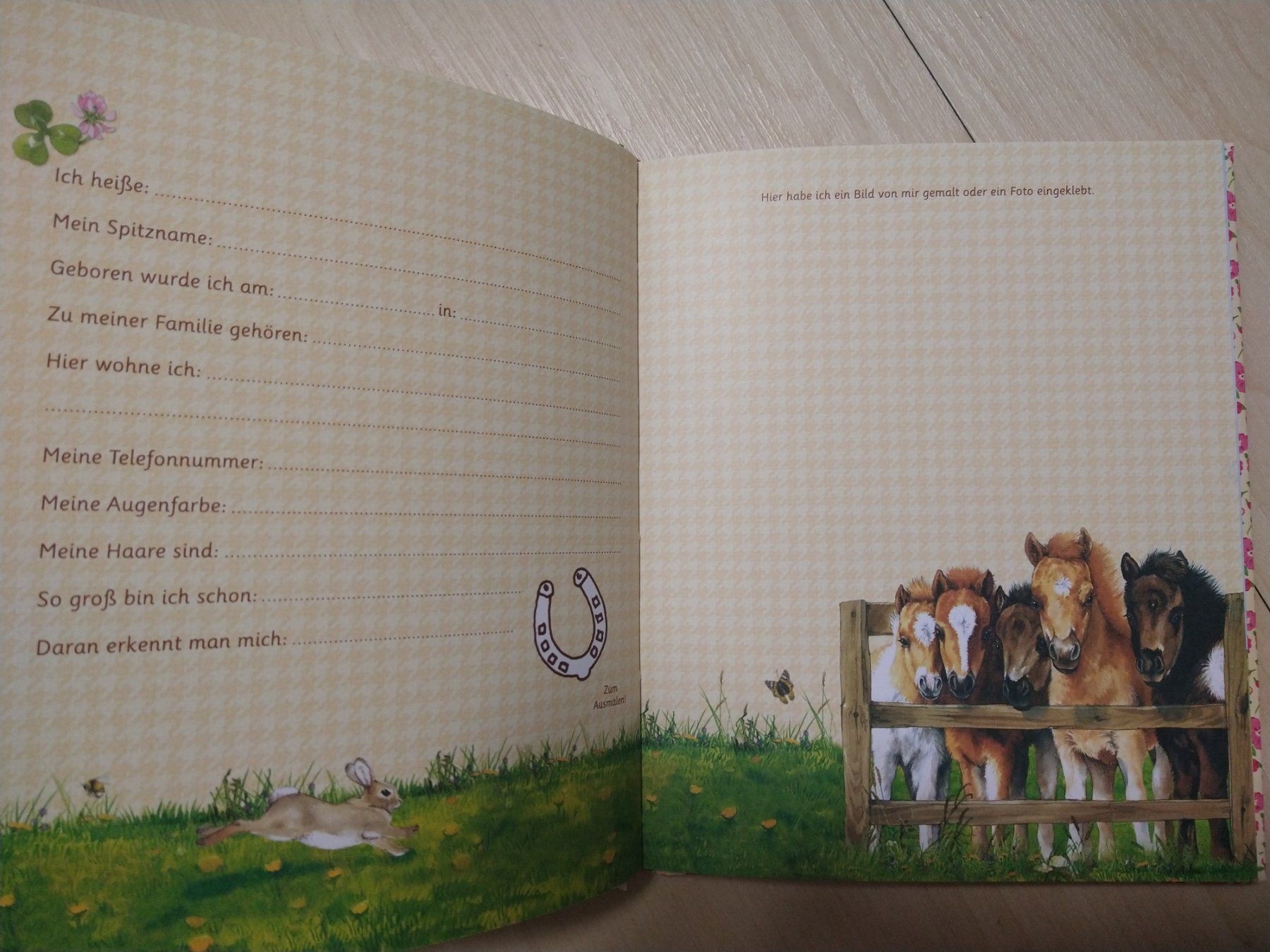 Libri: Freundebuch Kindergarten – Nuovo (secondo la descrizione) da Bätterkinden venduto da livingdreams 3