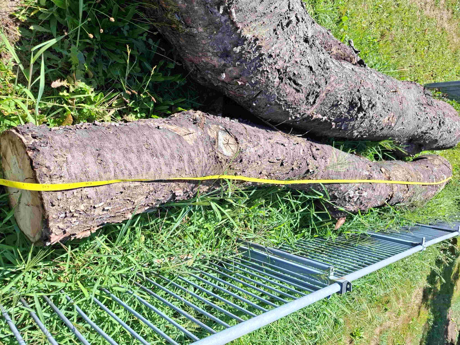 Holzartikel: Baumstamm Kirschbaum – Gebraucht aus Rain von Rigi10 8