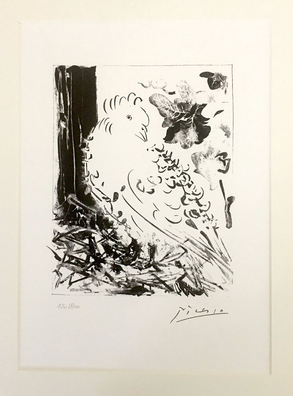 Grafica & Litografie: Pablo Picasso   Buffon  "Le Pigeon" – Usato da Nennigkofen venduto da Sommersonnen 1