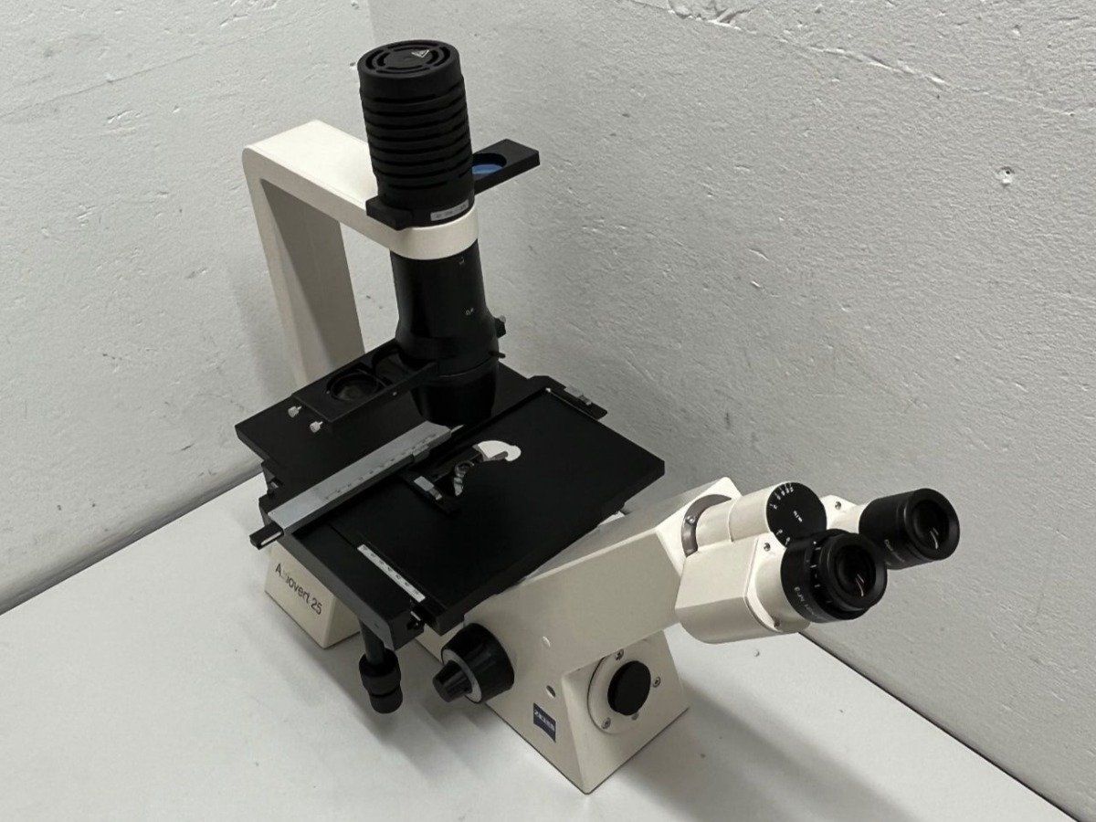 Zeiss Microscopi: Zeiss Axiovert 25 Inversmikroskop mit Phasenkontrast – Usato da Niederdorf venduto da LeptonAG_Labor 4
