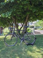 Price Rennrad (RH 56)