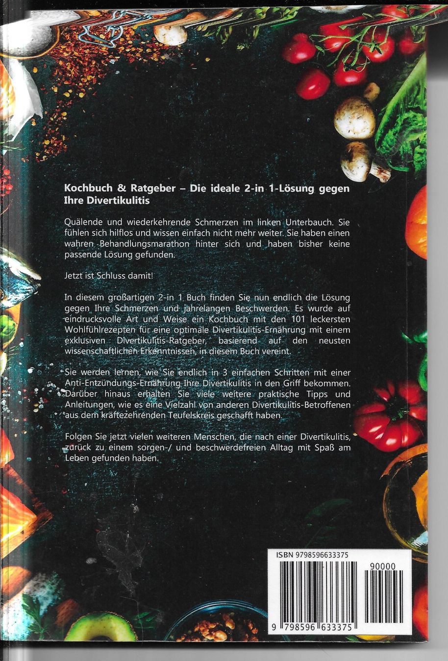 Libri: Torsten Raustein - Divertikulitis Kochbuch und Ratgeber – Usato da Nunningen venduto da mercury-for-books 1