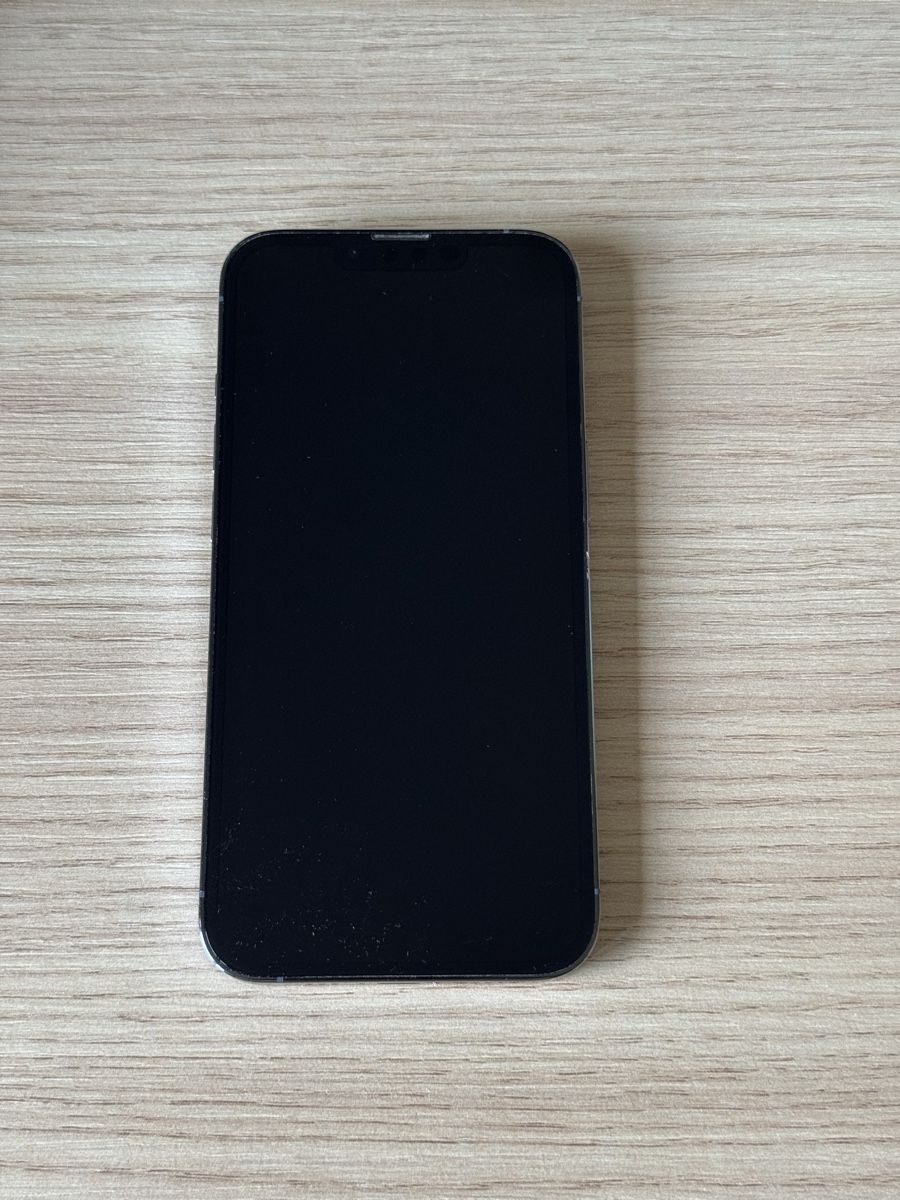 Apple Telefoni cellulari / Smartphones: iPhone 13 Pro 256 GB – Usato da Männedorf venduto da determinant 1