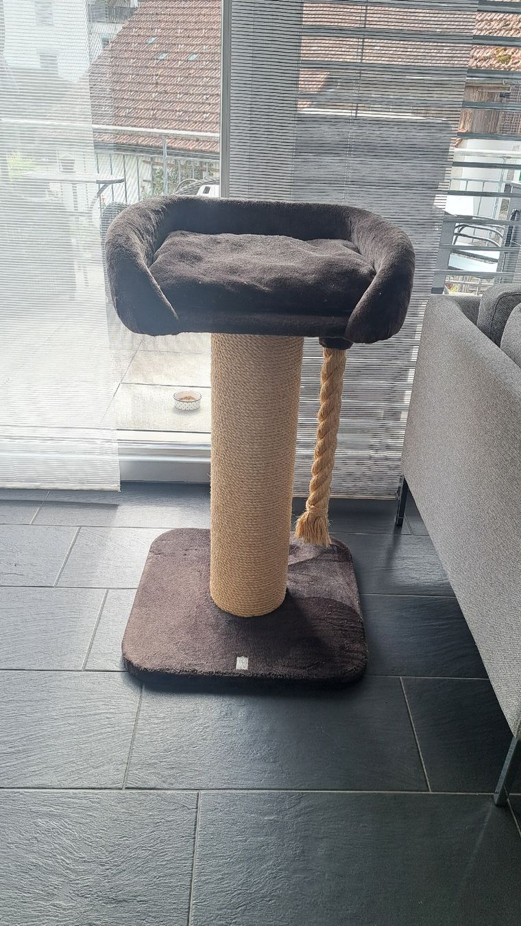 Katzenbaum - Kratzbaum: Katzenbaum mit Liegeplatz – Gebraucht aus Untervaz von Nendi