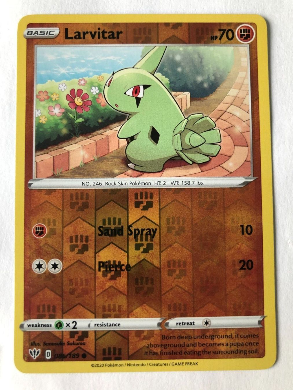 Pokémon Carte collezionabili: Larvitar - Reverse Holo - Pokemon EN – Nuovo (secondo la descrizione) da Nussbaumen AG venduto da Pika-Shop