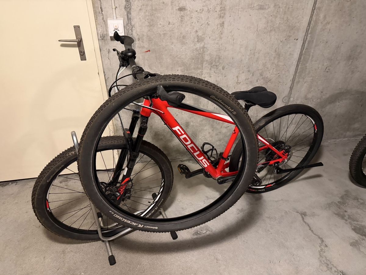 Focus Biciclette: Focus Damenvelo rot/weiss – Usato da Thun venduto da Grizzlie99 3