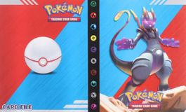 Pokemon Kartenalbum (240 Karten)