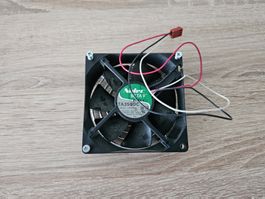 Fan