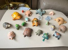 Collections de tortues