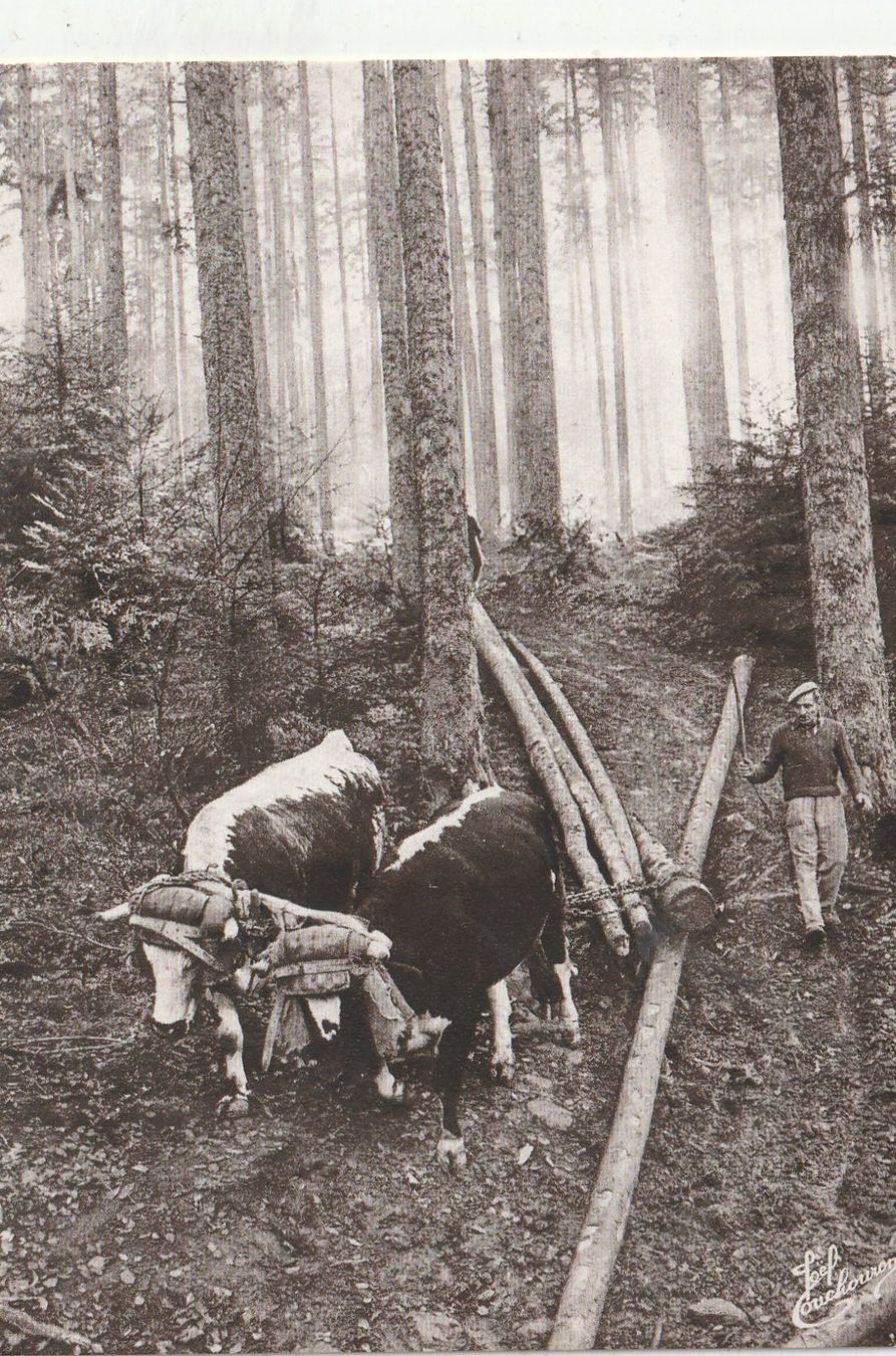 Cartoline postali: Die alten Zeiten – Usato da Lumbrein venduto da made02