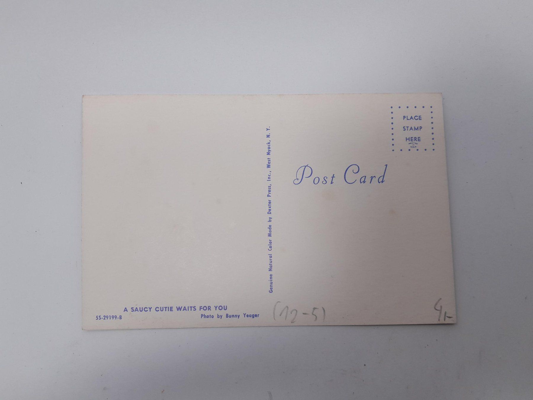 Cartoline postali: Pin Up Postkarte vintage - Aloha oder Tarzans Jane? – Nuovo (secondo la descrizione) da Männedorf venduto da Bel-view 1