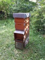 Imker Künten Magazin CH-Mass für Bienen mit Honigraumzargen