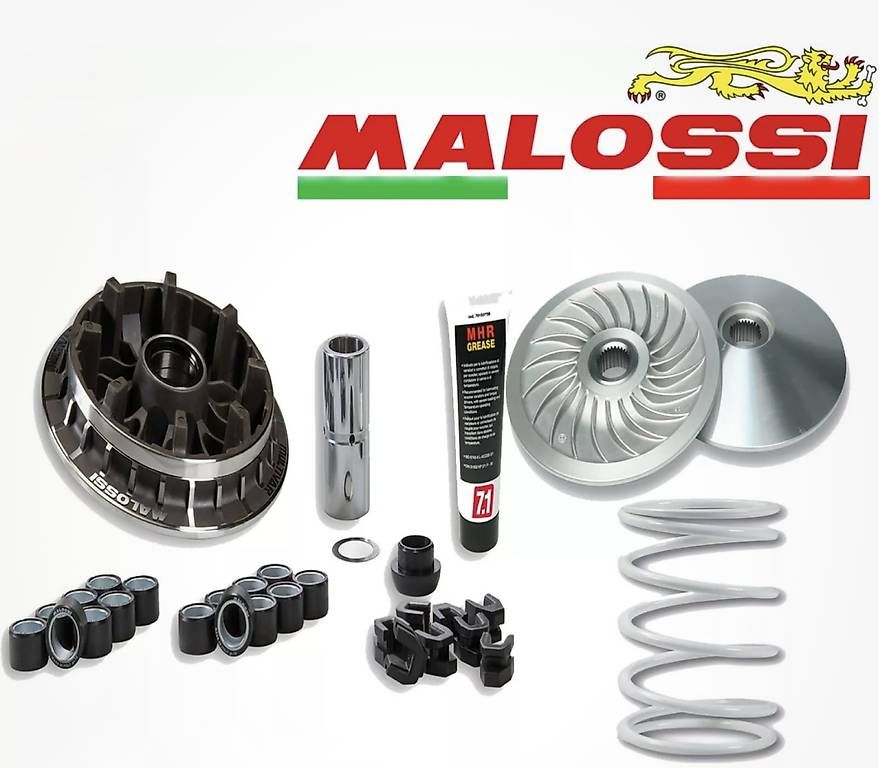 Tutti pezzi di ricambio per scooter: Variatore Malossi per YAMAHA TMAX – Usato da Caslano venduto da maxpera