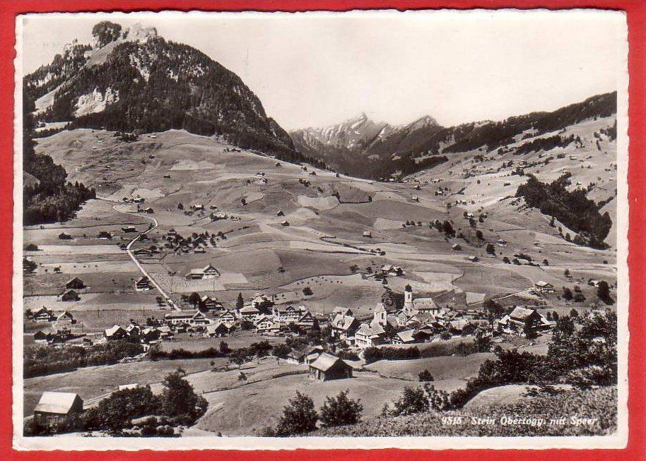 Cartoline postali: STEIN, OBERTOGGENBURG, GROSSFORMAT – Usato da Grüningen venduto da Kartenlaube