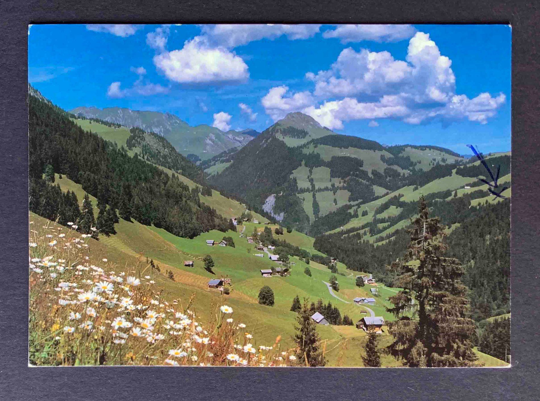 Cartoline postali: AK Abländschen Berner Oberland Bäderhorn – Usato da Goldau venduto da artelier1
