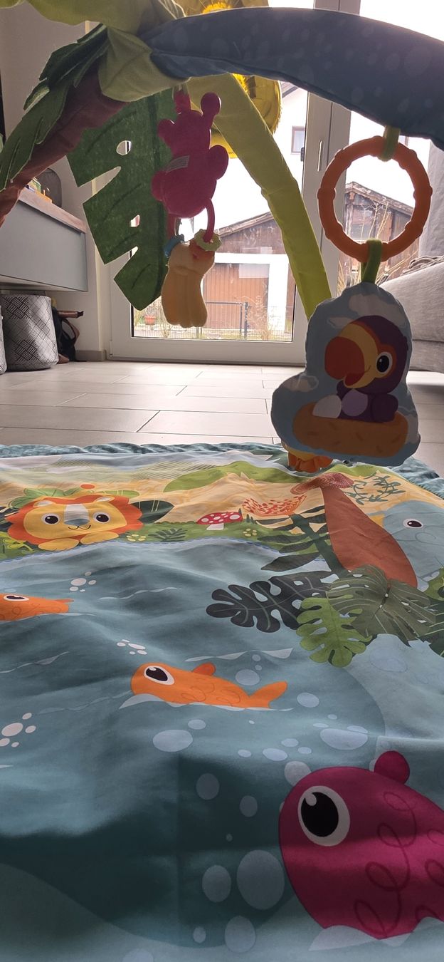 Spielmatte: Besttoy - Spielbogen Krabbeldecke, neuwert – Gebraucht aus Urmein von chello68 2