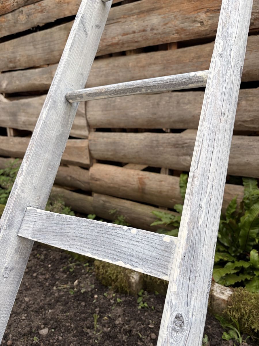 Scale: Holzleiter weiss 2.19m – Usato da Römerswil LU venduto da mr-max11 2