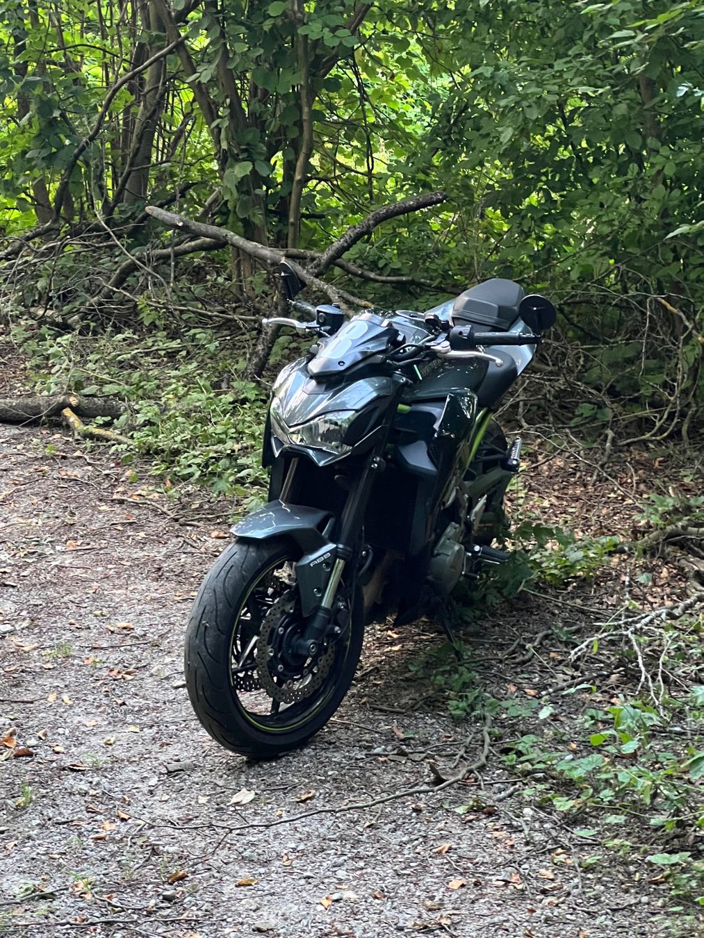 Kawasaki Route: Z900 mit Race Shift – D'occasion à Luzern par Lahlully