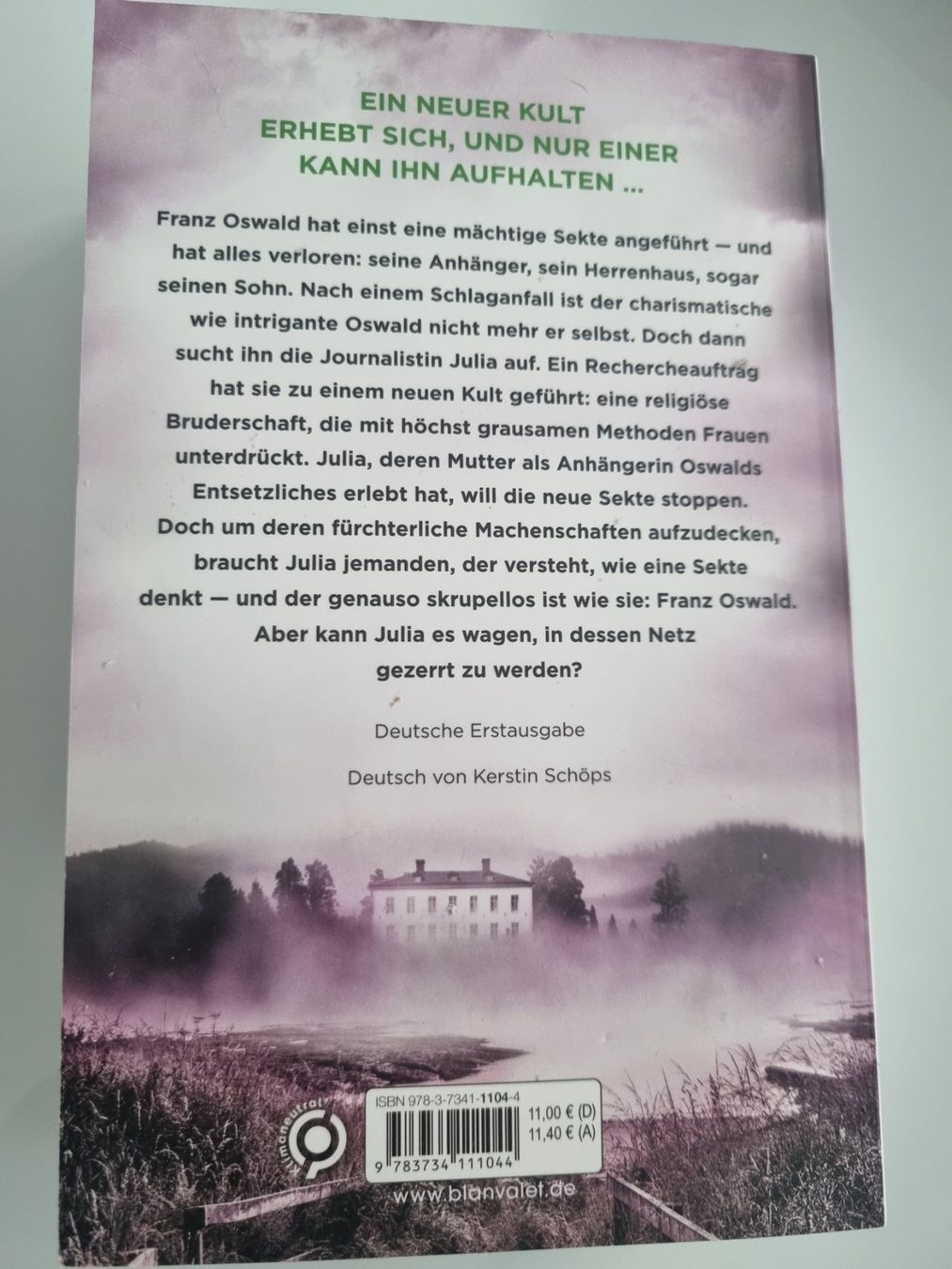 Libri: Buch-Paket mit 3 Thrillern – Nuovo (secondo la descrizione) da Au (SG) venduto da mavi4114 2
