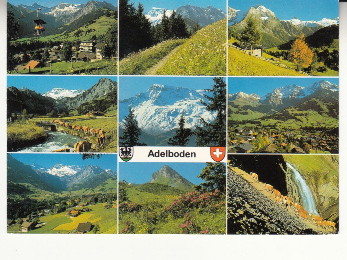 Cartoline postali: Adelboden 1989 – Usato da Bürglen TG venduto da StampGraf