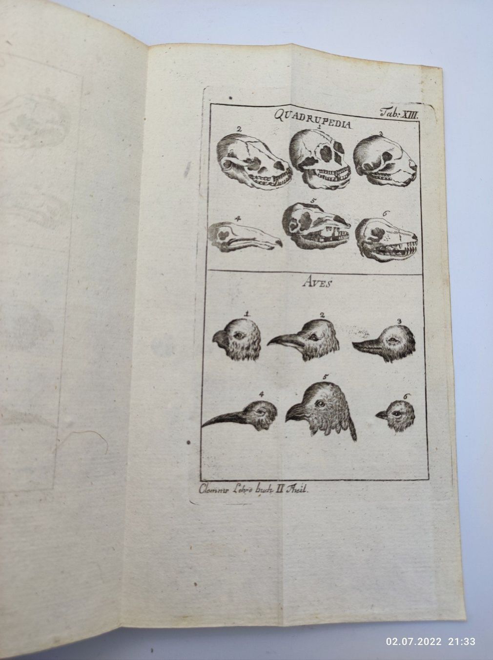 Bücher: CLEMM - MATHEMATISCHES LEHRBUCH 1786 – Gebraucht aus Goldach von Gaip 5