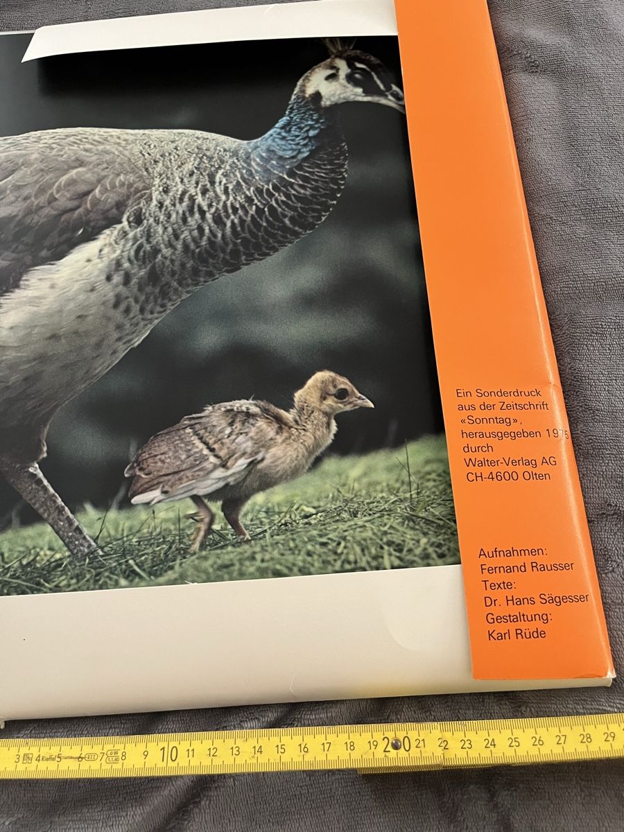 Bücher: Fotobuch von 1975 – Gebraucht aus baden von jessgold 1