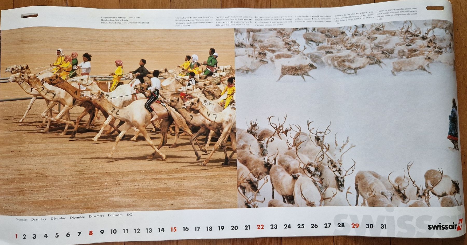 Calendari: Swissair Kalender 2002 – Nuovo (secondo la descrizione) da Bremgarten b. Bern venduto da mic_7vys
