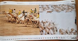 Swissair Kalender 2002