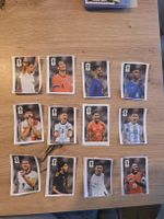 Alle 12 Coca Cola Panini WM 2026 Set