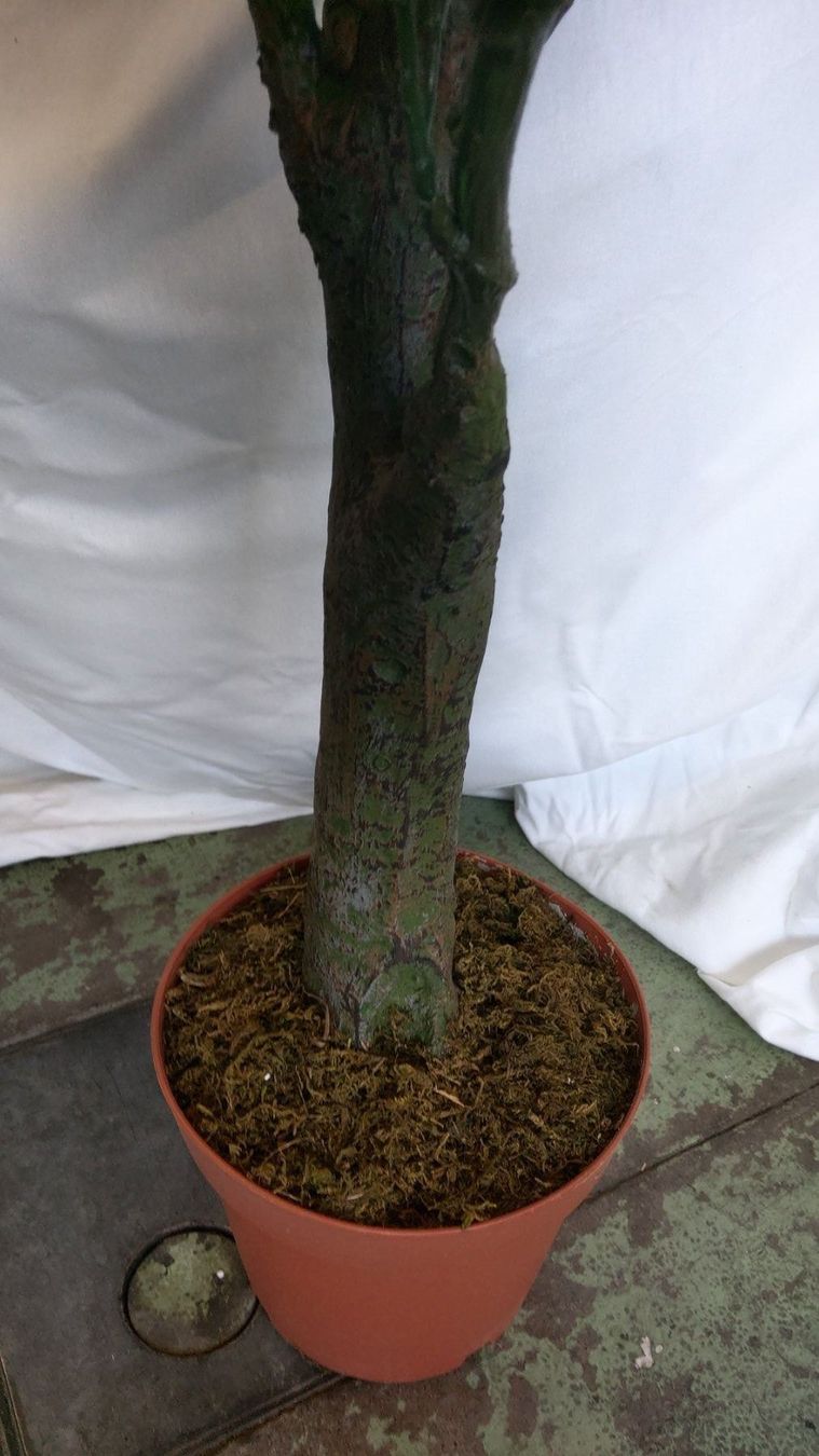Piante & sementi: Künstliche Azalea im Topf 110cm – Nuovo (secondo la descrizione) da Däniken SO venduto da Profog1 2