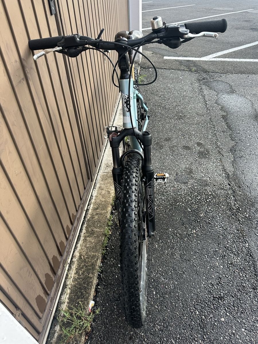 Canyon Biciclette: Canyon Mountainbike Liteville S – Usato da Heerbrugg venduto da sha_6bxl 3