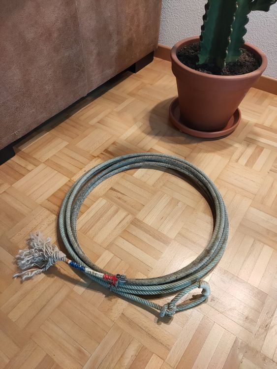 Lasso (Original aus Tombstone Arizona U.S.A.) Kaufen auf Ricardo