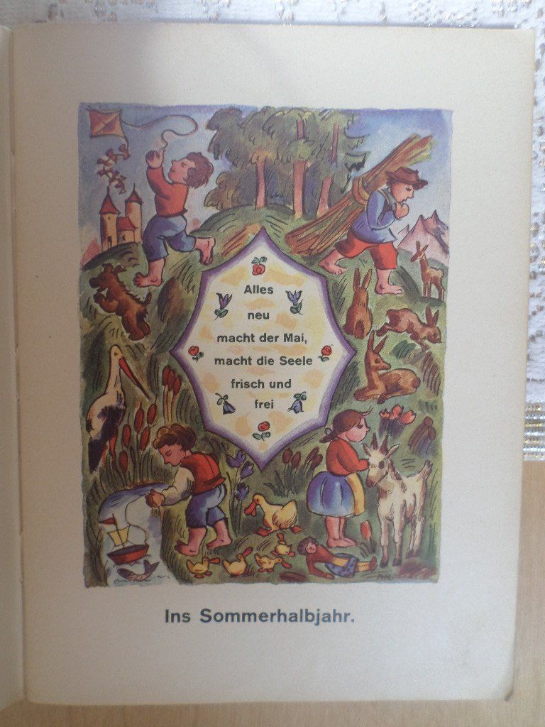 Libri: In die weite Welt – Usato da Liestal venduto da man_7bt6 1