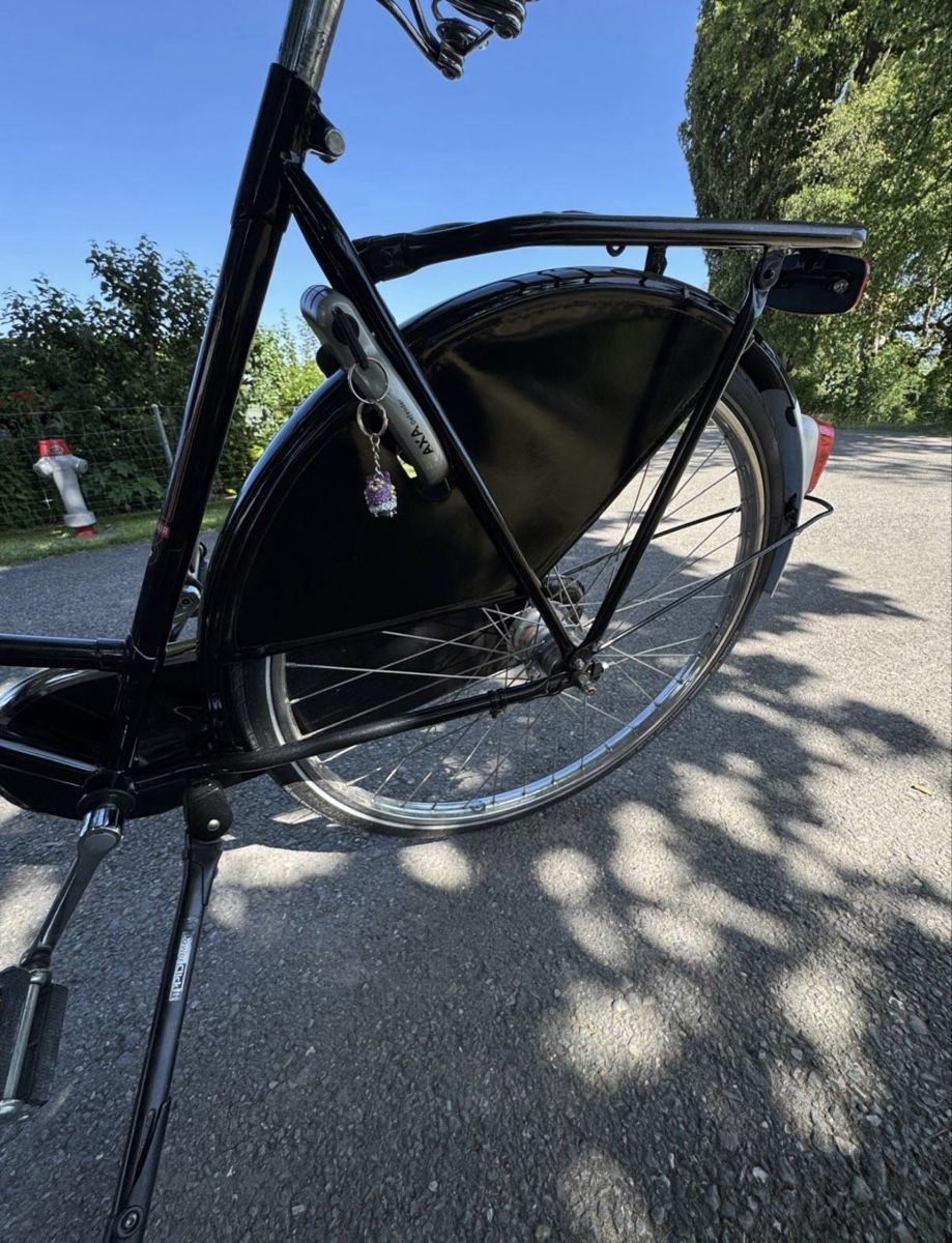 Gazelle Biciclette: Gazelle Hollandvelo Popular C7 – Usato da Fällanden venduto da Caramel7 7